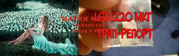 трава Коряжма