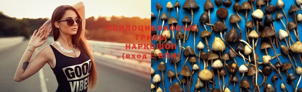 PSILOCYBIN Новозыбков