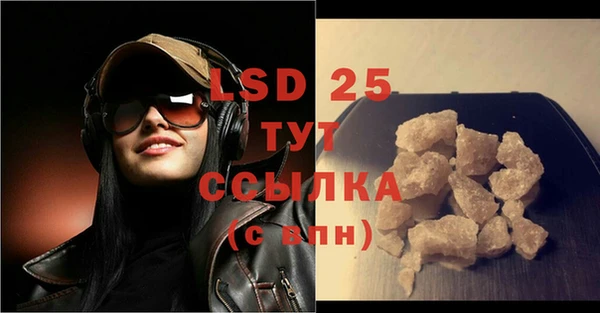PSILOCYBIN Новозыбков