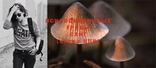 PSILOCYBIN Новозыбков