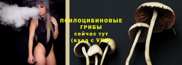 PSILOCYBIN Новозыбков