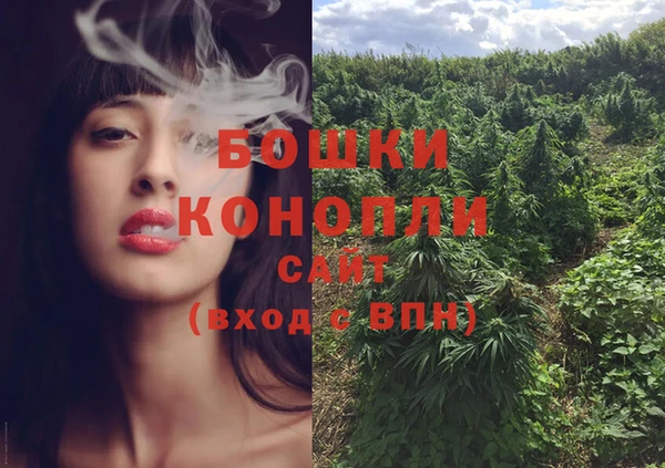 молекула духа Новокубанск
