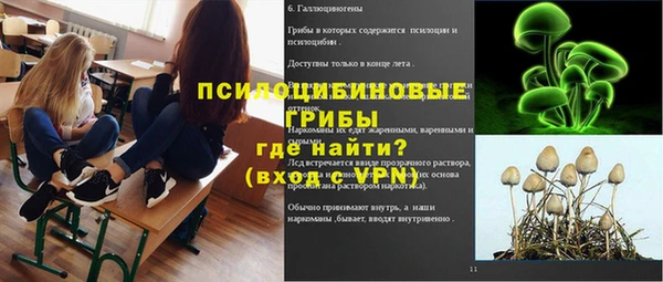 молекула духа Новокубанск