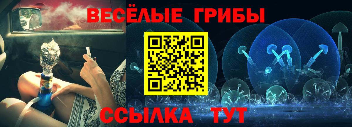 Коркино  Галлюциногенные грибы мухоморы  Галлюциногенные грибы GOLDEN TEACHER  Вход с VPN 