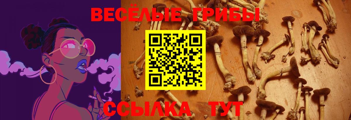 Галлюциногенные грибы ЛСД Коркино