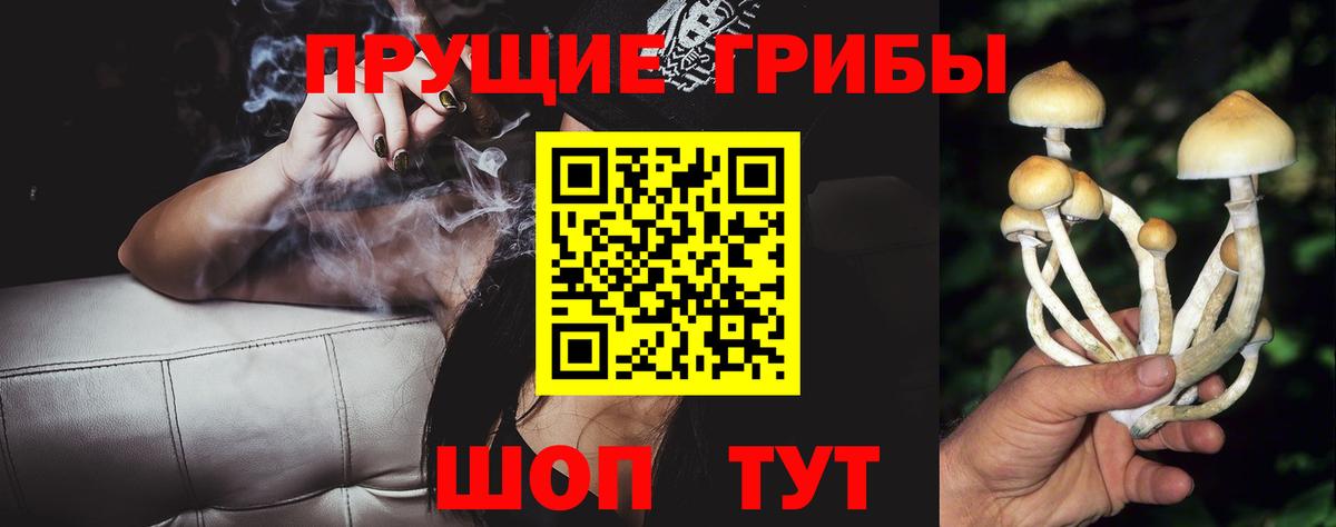 Псилоцибиновые грибы ЛСД  Коркино  Псилоцибиновые грибы Cubensis 